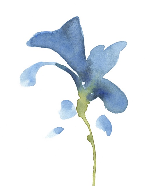 Striking Blue Iris V