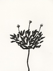 Ink Botanical Sketch III