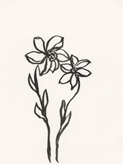 Ink Botanical Sketch IV