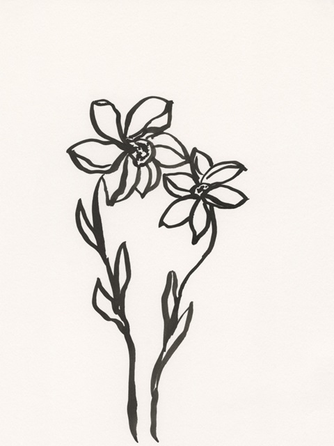 Ink Botanical Sketch IV