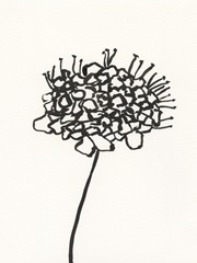 Ink Botanical Sketch V