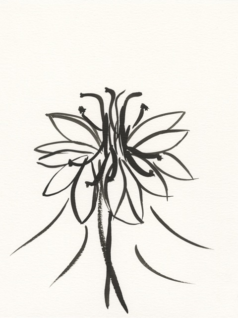 Ink Botanical Sketch XI
