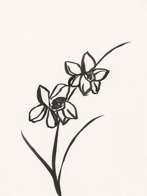 Ink Botanical Sketch XII
