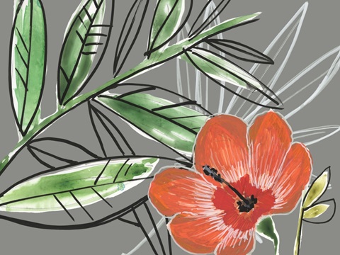 Tropic Botanicals Collection A