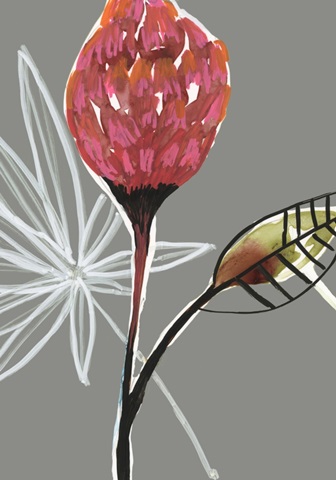 Tropic Botanicals Collection B