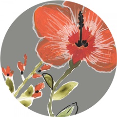 Tropic Botanicals Collection C