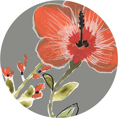 Tropic Botanicals Collection C