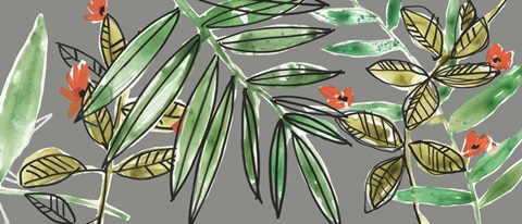 Tropic Botanicals Collection D