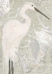 Driftwood Heron Collection B