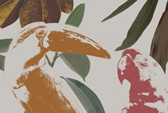 Graphic Tropical Bird Collection A