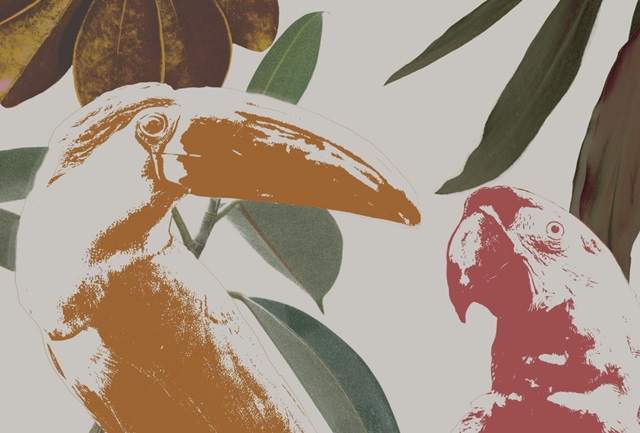 Graphic Tropical Bird Collection A