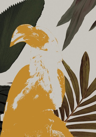 Graphic Tropical Bird Collection B