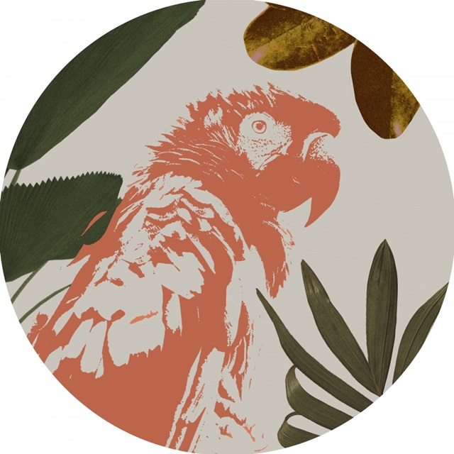 Graphic Tropical Bird Collection C