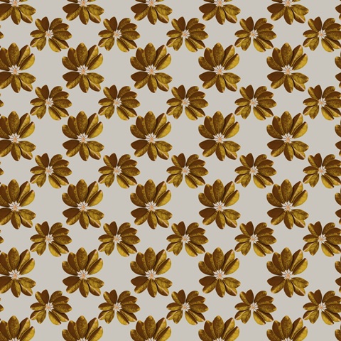 Graphic Tropical Bird Collection F