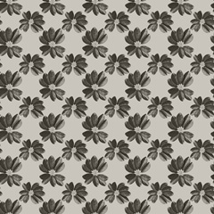 Graphic Tropical Bird Collection G