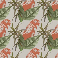 Graphic Tropical Bird Collection H