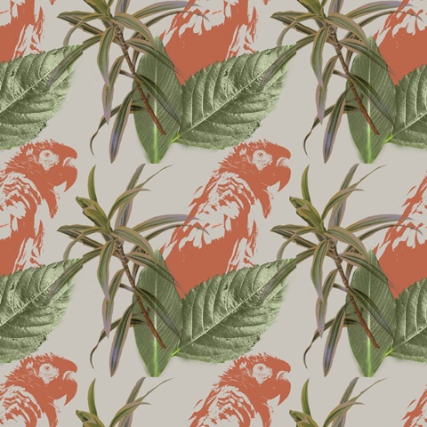 Graphic Tropical Bird Collection H