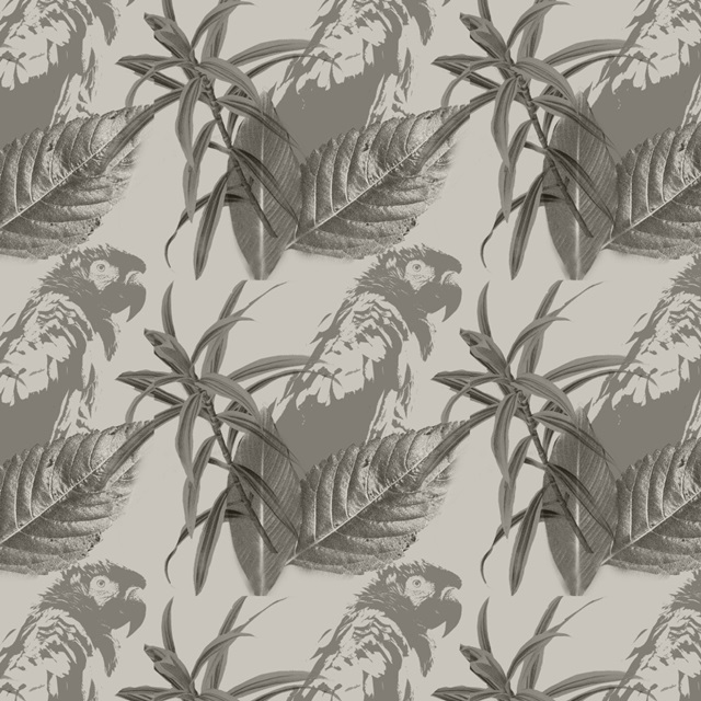 Graphic Tropical Bird Collection I