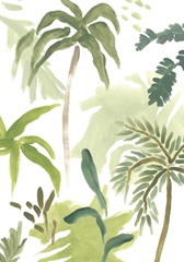 Island Brushstrokes Collection B