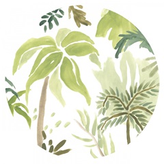 Island Brushstrokes Collection C