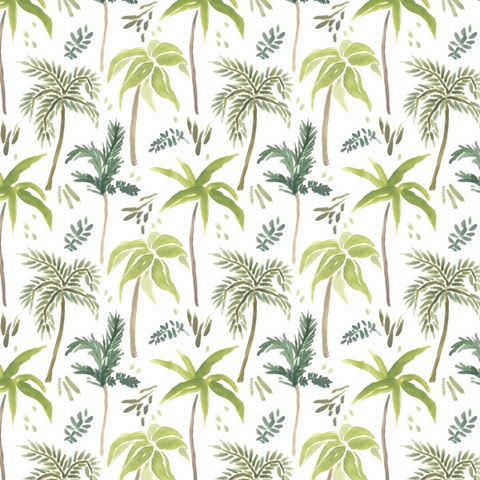 Island Brushstrokes Collection F