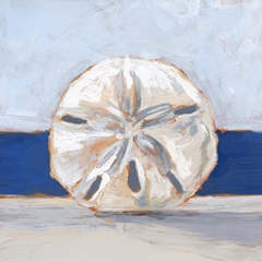 Sand Dollar By the Sea