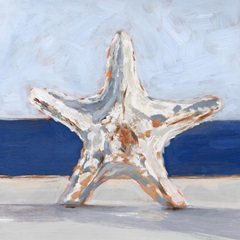 Starfish By the Sea