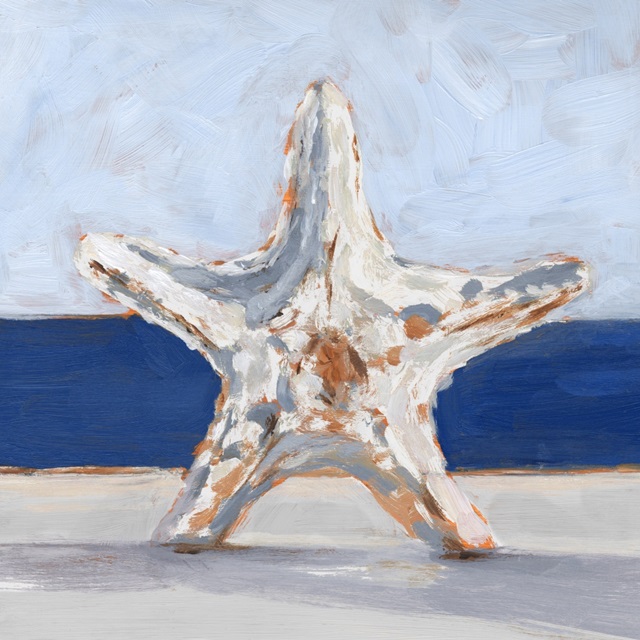 Starfish By the Sea