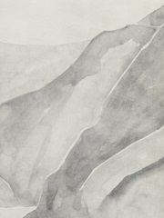 Gray Mountain Range I