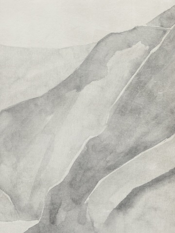 Gray Mountain Range I