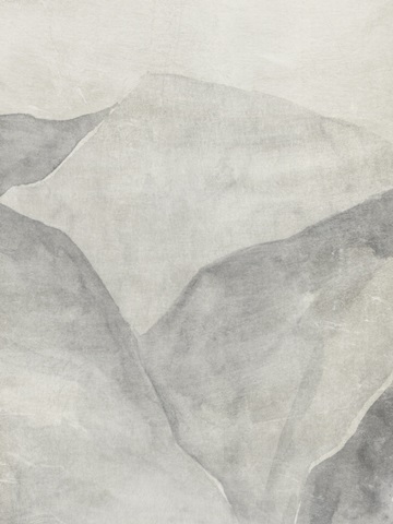 Gray Mountain Range II