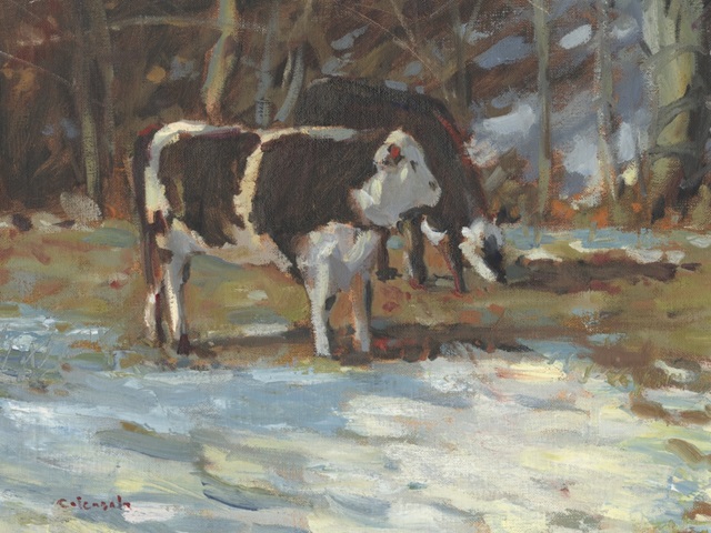 Cows Grazing, Somerset III