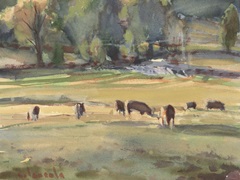 Grazing Cows Watercolor