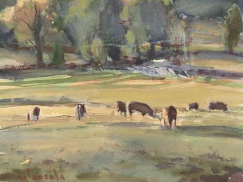 Grazing Cows Watercolor