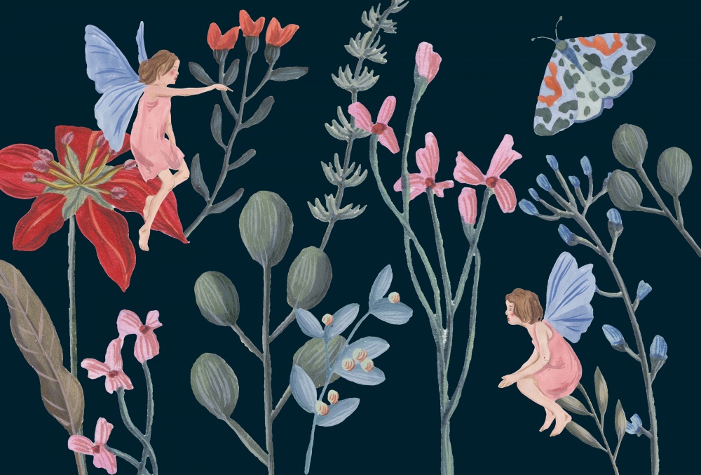 A Fairy Tale Collection A