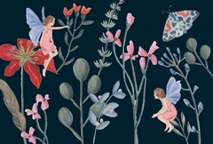 A Fairy Tale Collection A