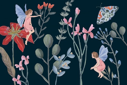 A Fairy Tale Collection A