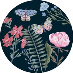 A Fairy Tale Collection C