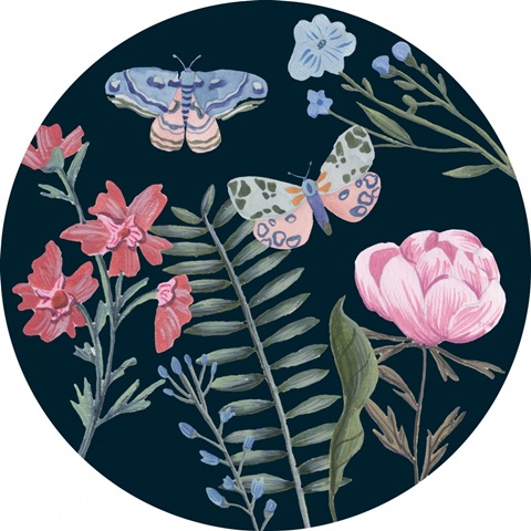 A Fairy Tale Collection C