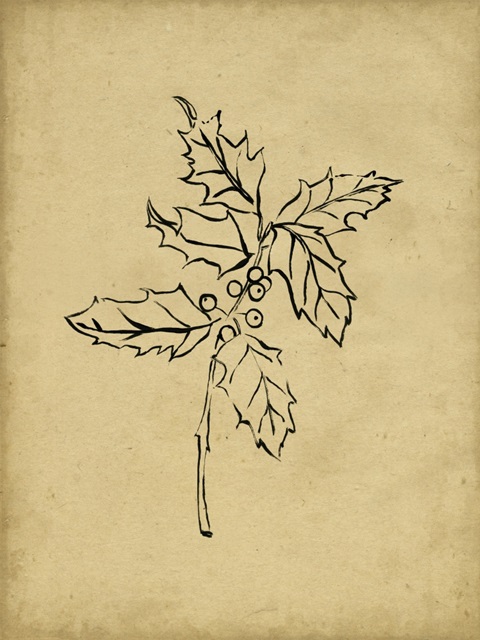 Holly Branch I