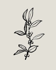 Loose Holly Sketch I