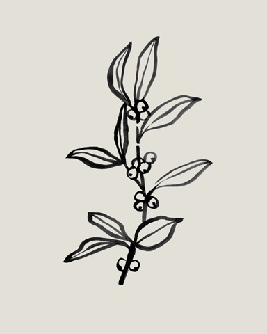 Loose Holly Sketch I