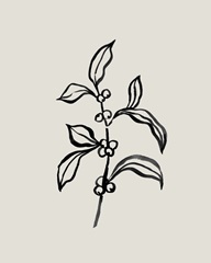 Loose Holly Sketch IV