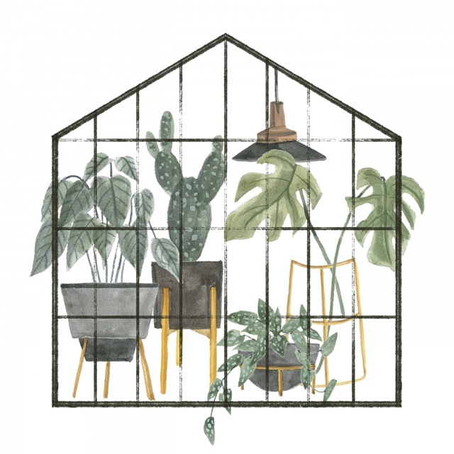 My Greenhouse I