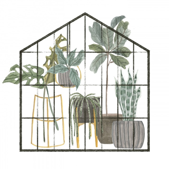 My Greenhouse II