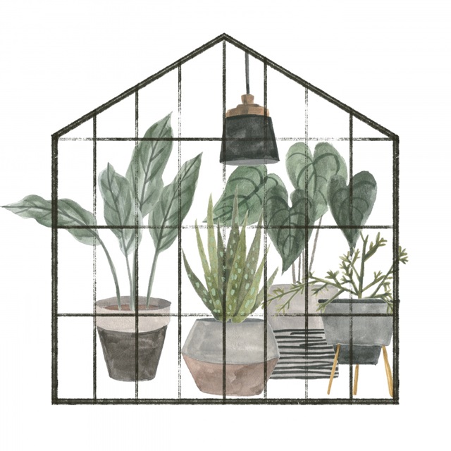 My Greenhouse III