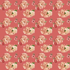 Perfume Bloom Collection I