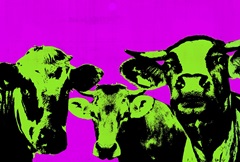 Pop Art Farm Collection A