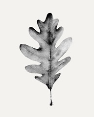 Smoky Oak Leaf I