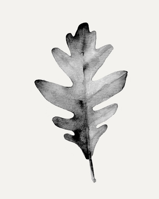 Smoky Oak Leaf II